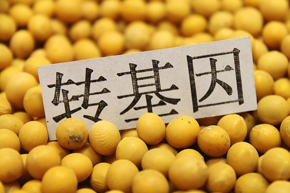 食品轉(zhuǎn)基因檢測(cè).jpg