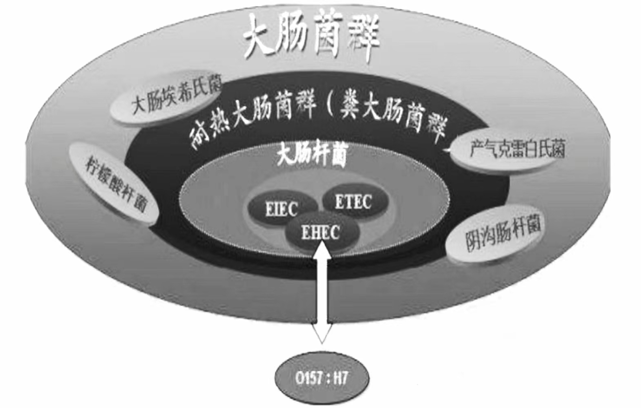 微信圖片_20230601160242-4206e863-c96b-4c5d-a65b-3f70a9988b70.jpg 微信圖片_20230601160242-4206e863-c96b-4c5d-a65b-3f70a9988b70.jpg